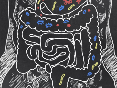 Generic placeholder image